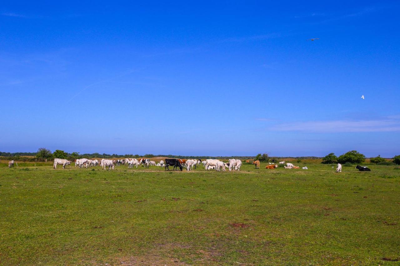 Aenbetje Goedereede Exterior foto